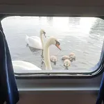 Szálloda Hotelboat Iris *