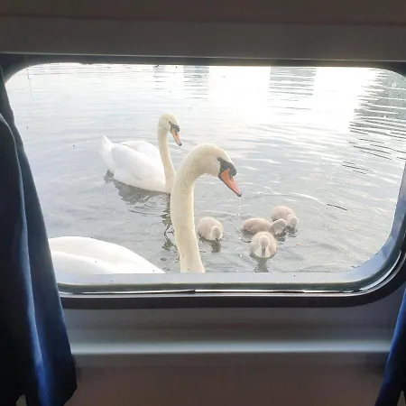 Hotel Hotelboat Iris *